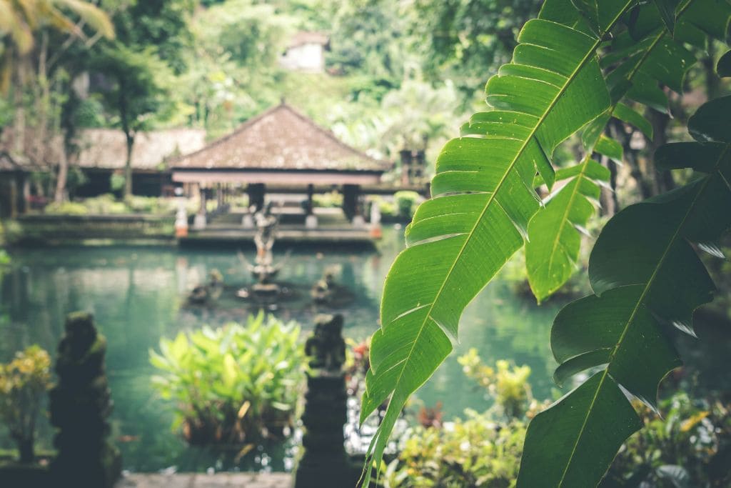 Bali Temple Etiquette